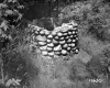 View of Dry Well