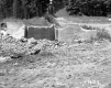 Cement Foundation and Trees