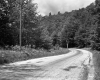 View of Route 100 and Forest