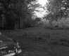 Spiropoulos Property, Barn in Trees