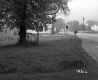 Esso Station