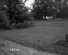 Spiropoulos Property, Lawn and Trees