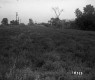 Viens Property, Field and Trees