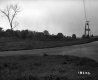 Viens Property, Field and Trees