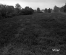 Viens Property, Field and Trees