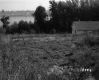Viens Property, View toward Bay