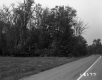 De Neergaard Property, Cluster of Trees along Highway