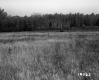 De Neergaard Property, Field and Forest