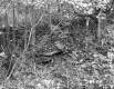 De Neergaard Property, Old Foundation