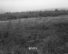 De Neergaard Property, Field and Forest