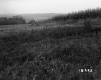 De Neergaard Property, Corn Field