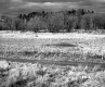 Arms Property on Route 127 in Burlington