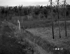 Howe Property Along Route 127 in Burlington