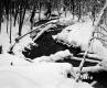 Sanders Property Forestland Between Brookfield and Berlin
