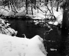 Sanders Property Forestland Between Brookfield and Berlin
