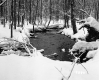 Sanders Property Forestland Between Brookfield and Berlin