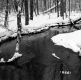 Sanders Property Forestland Between Brookfield and Berlin