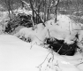 Huffman Property Forestland Between Brookfield and Berlin