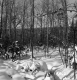 Sanders Property Between Brookfield and Berlin