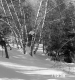 Groleau Property Forestland Between Brookfield and Berlin