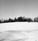 Groleau Property Between Brookfield and Berlin