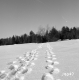 Groleau Property Between Brookfield and Berlin