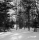 Groleau Property Between Brookfield and Berlin