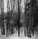 Groleau Property Between Brookfield and Berlin