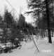 Wachowiak Property Forestland Between Brookfield and Berlin
