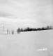 Wachowiak Property Between Brookfield and Berlin