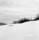 Wachowiak Property Between Brookfield and Berlin