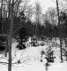 Wachowiak Property Forestland Between Brookfield and Berlin