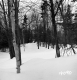 Wachowiak Property Forestland Between Brookfield and Berlin