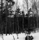 Wachowiak Property Forestland Between Brookfield and Berlin