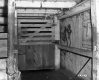 Blake Property Stable