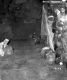 Adams House Cellar