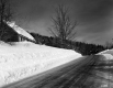 Scenic Winter View