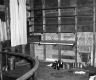 Hayward Transportation Inc. Property Shed Interior