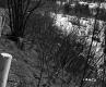 Camp Property Between Berlin and Barre