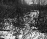 Camp Property Between Berlin and Barre