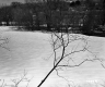 Bryan Property Between Berlin and Barre