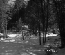 Couture Property Forestland Between Berlin and Barre