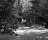 Couture Property Forestland Between Berlin and Barre