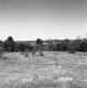 Vladyka Property on Route 4 in Fair Haven