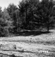 Vladyka Property on Route 4 in Fair Haven