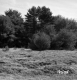 Vladyka Property on Route 4 in Fair Haven