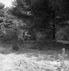 Vladyka Property Forestland on Route 4 in Fair Haven