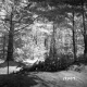 Vladyka Property Forestland on Route 4 in Fair Haven