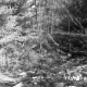 Stannard Property Forestland on Route 4 in Fair Haven