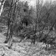 Town of Fair Haven Property Forestland Along Route 4